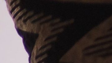 La fiesta de revelación de sexo fue un fiasco.