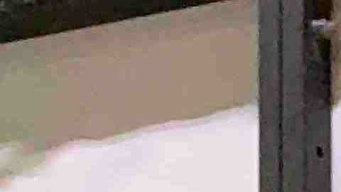 La Liga 5 de Mayo premió a sus campeones con trofeos originales. (Javier Quiroz / La Raza)