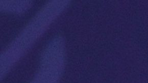 Michelle Obama dice que no quere ser presidenta.