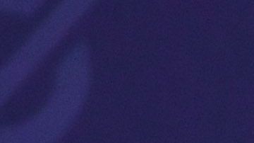 Michelle Obama dice que no quere ser presidenta.