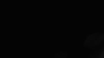 Conor McGregor anunció su regreso al octágono.