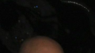 Heidi Klum y Tom Kaulitz como Fiona y Shrek en 2018.