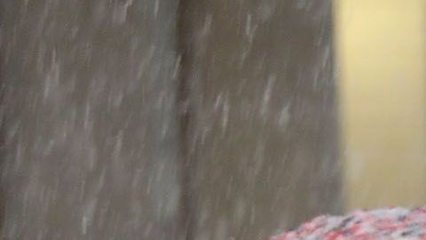 Nueva York tendrá fuertes nevadas, según algunos reportes.