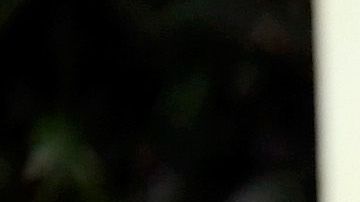 Yalitza Aparicio y Marina De Tavira