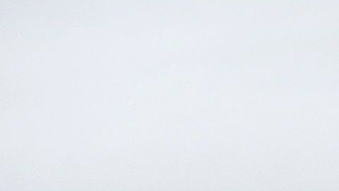 Vehículo de la Patrulla Fronteriza.