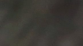 En la imagen: Harry, Kate Middleton, Meghan Markle y Harry.