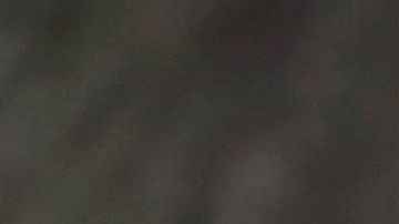 En la imagen: Harry, Kate Middleton, Meghan Markle y Harry.