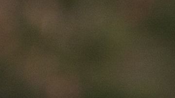 El mexicano anunció en redes sociales el nacimiento de su hija.