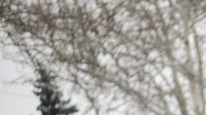 Una molestia es muy común que se padezca en estos meses del año.