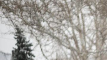 Una molestia es muy común que se padezca en estos meses del año.