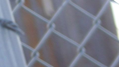 USCIS quiera ampliar su plantilla en 500 personas antes de diciembre de 2019.