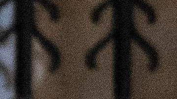 Los hijos de la princesa Diana junto a sus respectivas esposas.