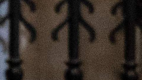 Los hijos de la princesa Diana junto a sus respectivas esposas.