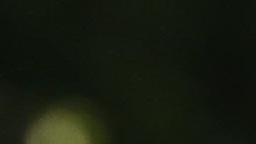 El presidente presume el respaldo de republicanos.