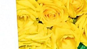 Thalía y Tommy Mottola