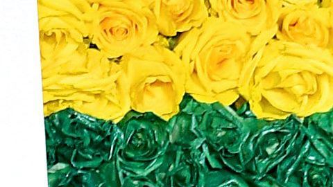 Thalía y Tommy Mottola