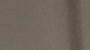 El presidente utilizará otros recursos para conocer el estatus migratorio de quienes residen en EEUU.