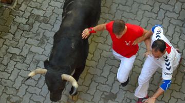 El toro escapó de un matadero cercano en San Pedro de Jujuy.