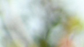 Meghan Markle, la duquesa de Sussex.