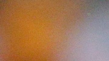 El jugador sería el primer fichaje del directivo al frente del 'rebaño'.