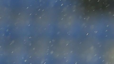 "Chicharito", Jiménez, Gutiérrez y"Tecatito" saltarán a la cancha en el torneo.