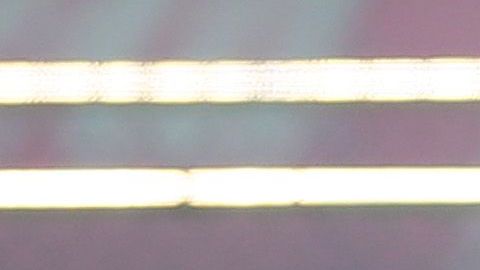 El Tricolor se prepara de cara a la Nations League de CONCACAF.