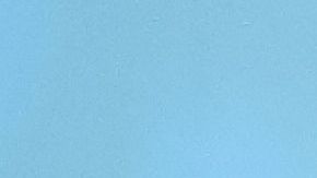 Sergio Ramos pasó una tarde en familia.