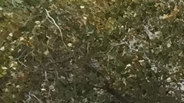 Protesta contra el presidente de Honduras fuera del tribunal federal de Manhattan, donde su hermano "Tony" Hernández es juzgado.