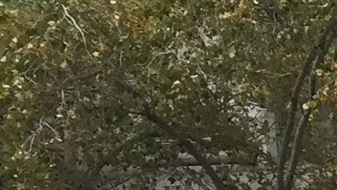 Protesta contra el presidente de Honduras fuera del tribunal federal de Manhattan, donde su hermano "Tony" Hernández es juzgado.