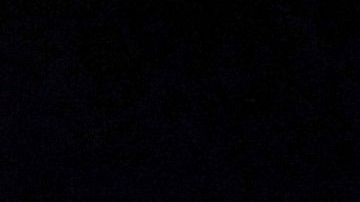 Doce candidatos demócratas participan en el debate en Ohio.