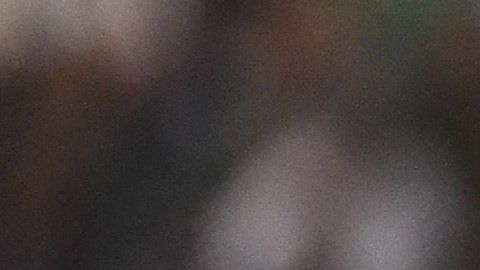 Destacaron que el defensor panameño había cumplido con su trabajo.