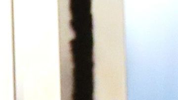 La pareja presidencial en las Naciones Unidas.