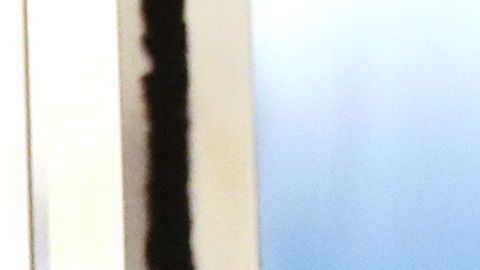 La pareja presidencial en las Naciones Unidas.