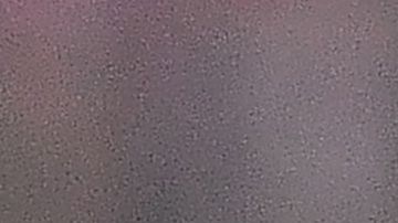 "La Pulga" eligió a un futbolista brasileño.