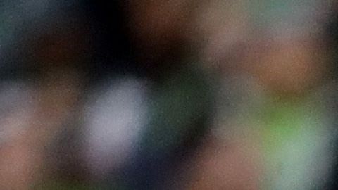 Nueva Inglaterra y San Francisco no han perdido en la campaña.