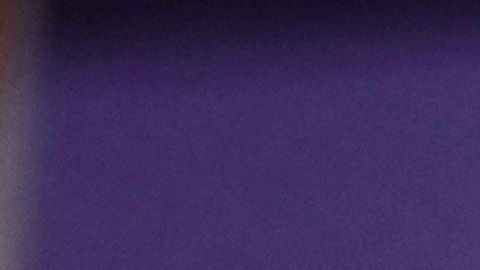 Julián Castro necesita $800,000