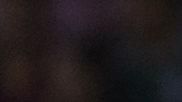 El jugador fue suspendido dos partidos.