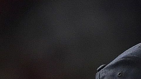 Yankees vs Astros inician la guerra