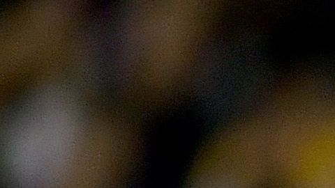 Los New England Patriots pasaron por aplastaron 0-33 a los New York Jets.