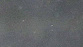 Los Foxes aplastaron 9-0 al Southampton.