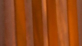 De izq. a dcha.: Geena Davis, Lina Wertmüller, David Lynch y Wes Studi.