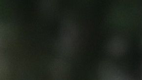 El tentiente coronel Alexander Vindman rindió testimonio ante la Cámara.