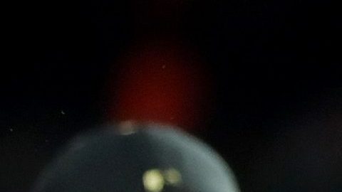 Dave Martinez igualó la hazaña de su paisano Alex Cora y segundo año consecutivo un manager boricua gana la Serie Mundial.