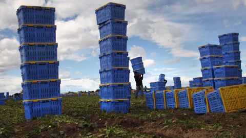 El Departamento del Trabajo modifica requisitos sobre empleados agrícolas.