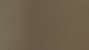 El camerunés Nebane Abienwi murió días después de su detención.