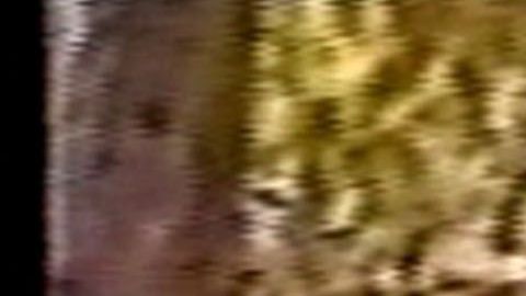 El hijo de Nicole se sintió inspirado en la masacre de Columbine.