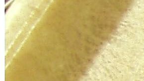 Pez cabeza de serpiente del norte.