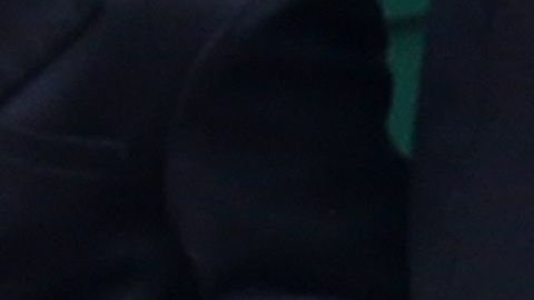 Los invitados no pudieron acceder con sus celulares al evento.