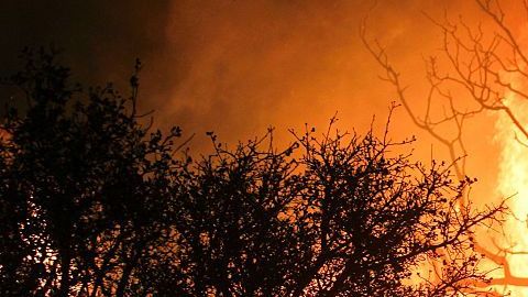Los fuertes vientos provocan los incendios forestales.