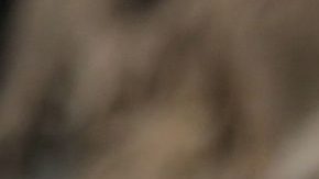 El horóscopo en Halloween.